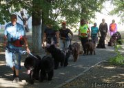 Превью фото № 163841