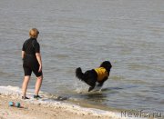 Превью фото № 163850