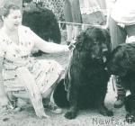 Превью фото № 1639