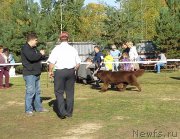 Превью фото № 163979