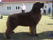 Превью фото № 163980