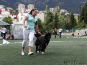 Превью фото № 163989