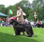 Превью фото № 16399