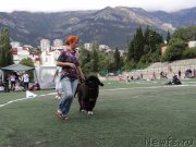 Превью фото № 163992