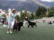 Превью фото № 163998