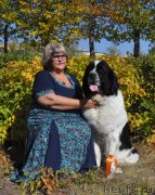 Превью фото № 164038