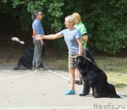 Превью фото № 164068