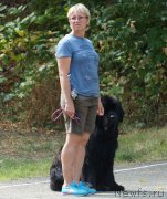 Превью фото № 164069