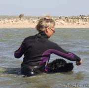 Превью фото № 164071