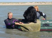 Превью фото № 164085