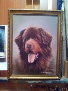 Превью фото № 164157