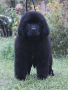 Превью фото № 164161