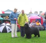 Превью фото № 16420