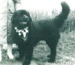 Превью фото № 1643