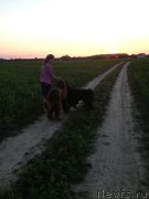 Превью фото № 164310