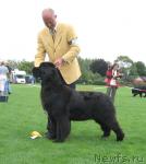 Превью фото № 16444