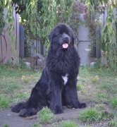 Превью фото № 164538