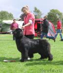 Превью фото № 16462