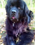 Превью фото № 164662