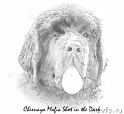 Превью фото № 164714