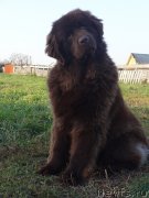 Превью фото № 164717