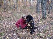 Превью фото № 164726