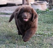 Превью фото № 164744