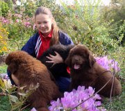 Превью фото № 164745