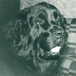 Превью фото № 1648