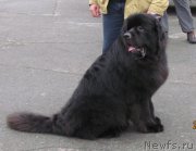 Превью фото № 164803