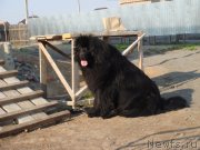 Превью фото № 164805