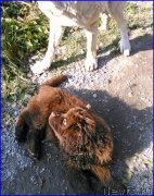 Превью фото № 164846