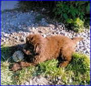 Превью фото № 164870