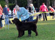 Превью фото № 164965