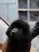 Превью фото № 164984