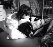 Превью фото № 165022