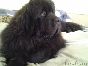 Превью фото № 165027