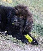 Превью фото № 165043