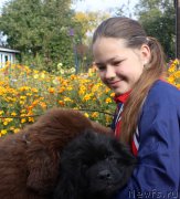 Превью фото № 165054