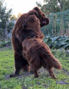 Превью фото № 165055