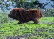 Превью фото № 165058