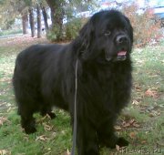 Превью фото № 165091