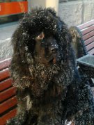 Превью фото № 165148