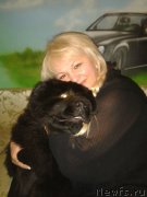 Превью фото № 165156