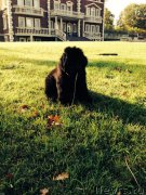 Превью фото № 165171