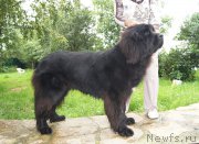 Превью фото № 165173