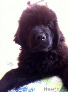 Превью фото № 165175