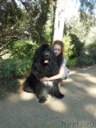 Превью фото № 165265