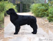 Превью фото № 165301