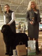 Превью фото № 165344